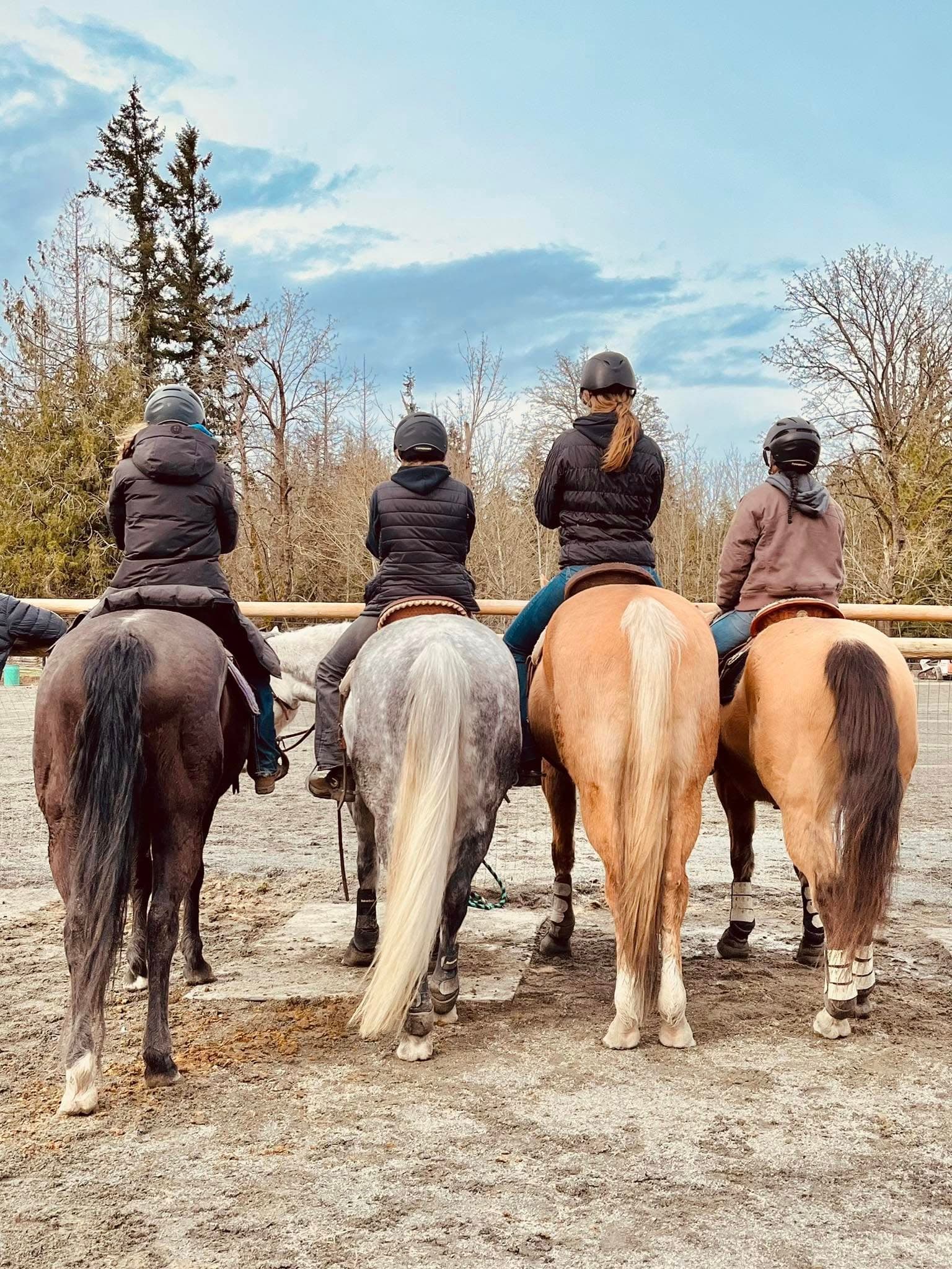 Riders lined up in the arena at Simmons Quarter Horses